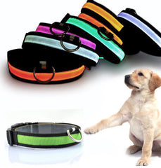 Nylon LED Pet Collar