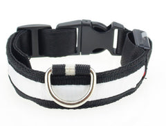 Nylon LED Pet Collar